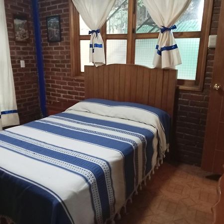 Coyoacan Departamento Tipo Colonial Mexico City Luaran gambar