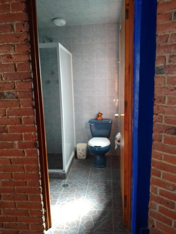 Coyoacan Departamento Tipo Colonial Mexico City Luaran gambar