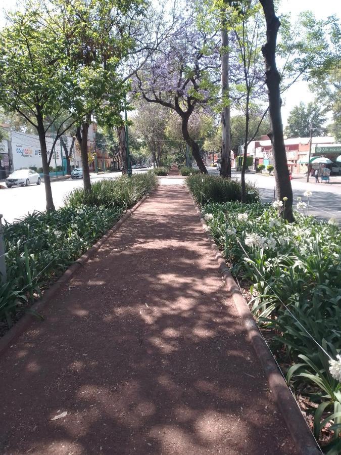 Coyoacan Departamento Tipo Colonial Mexico City Luaran gambar